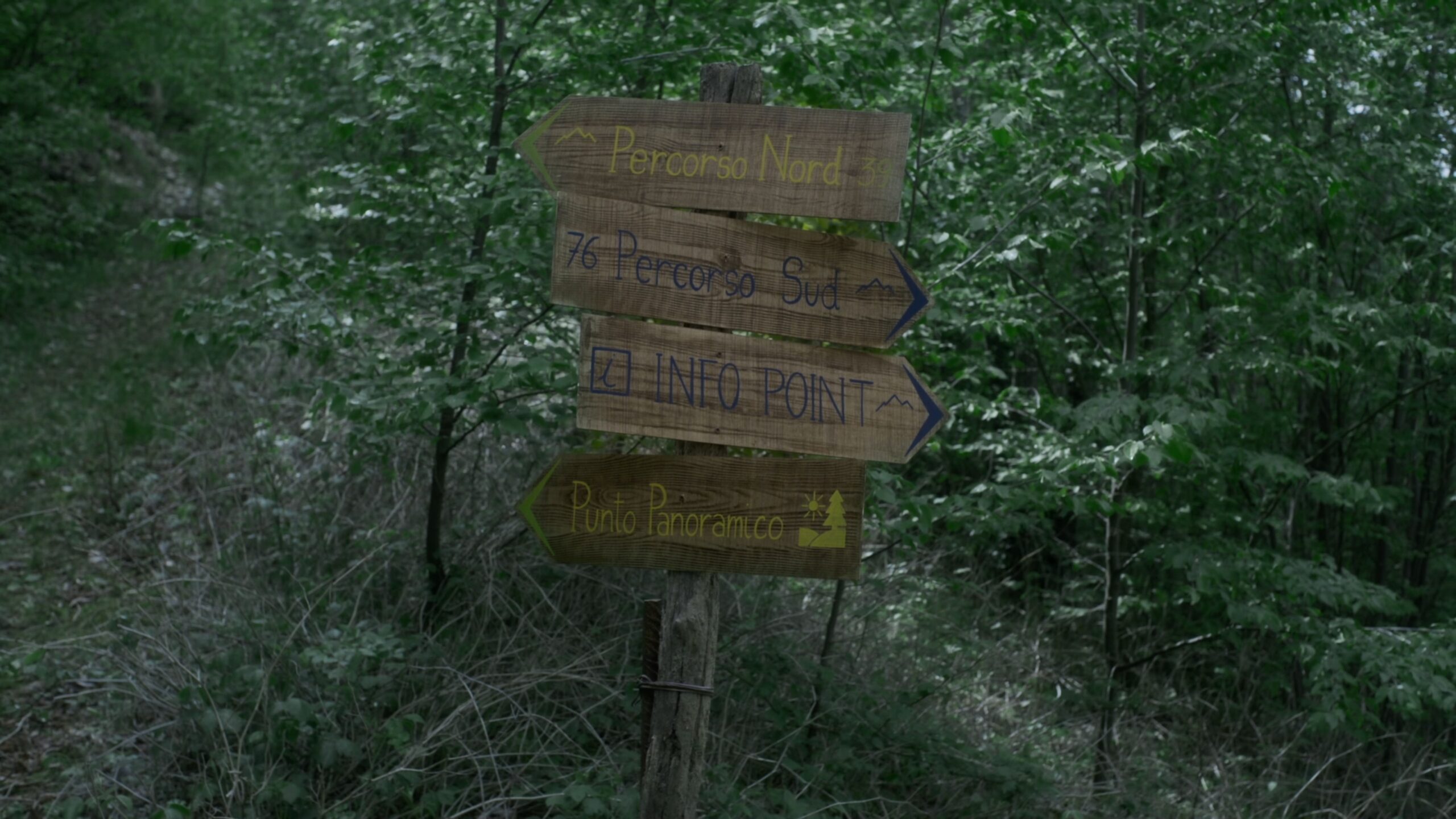 The Run (10)