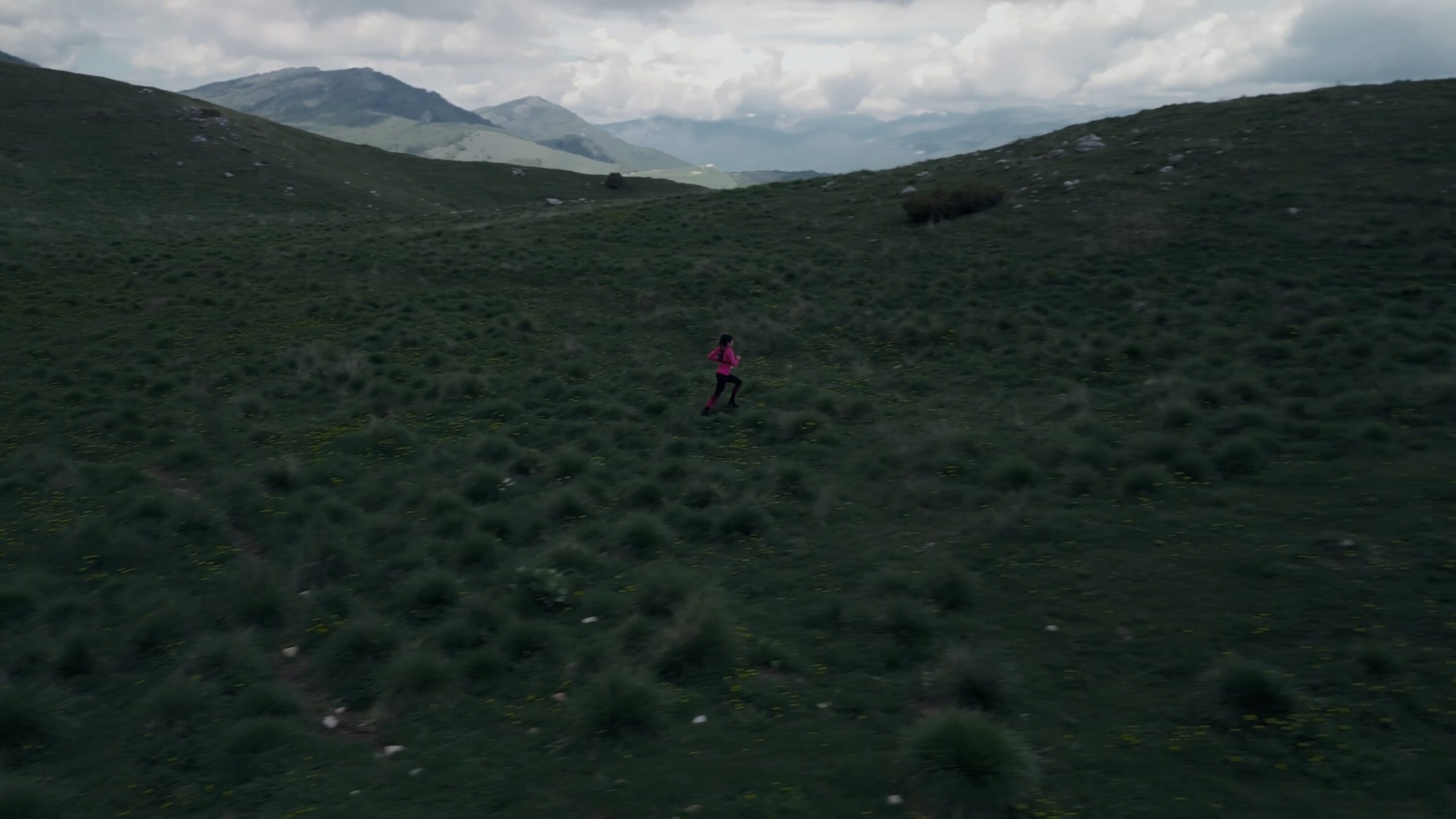 The Run (24)