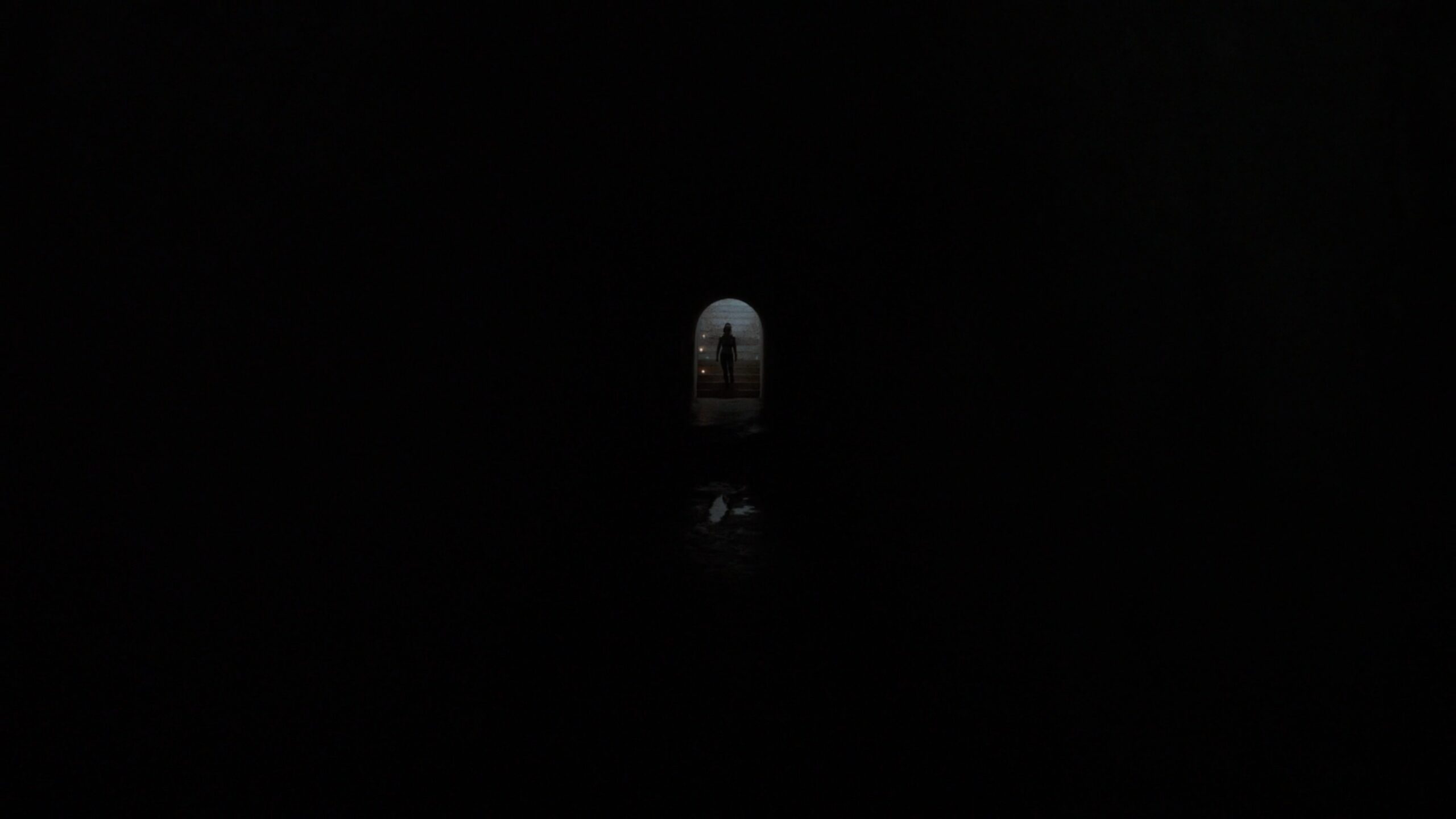 The Run (44)