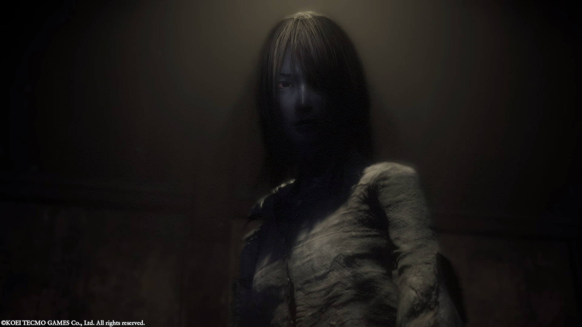 Fatal Frame 2 Crimson Butterfly Remake (13)