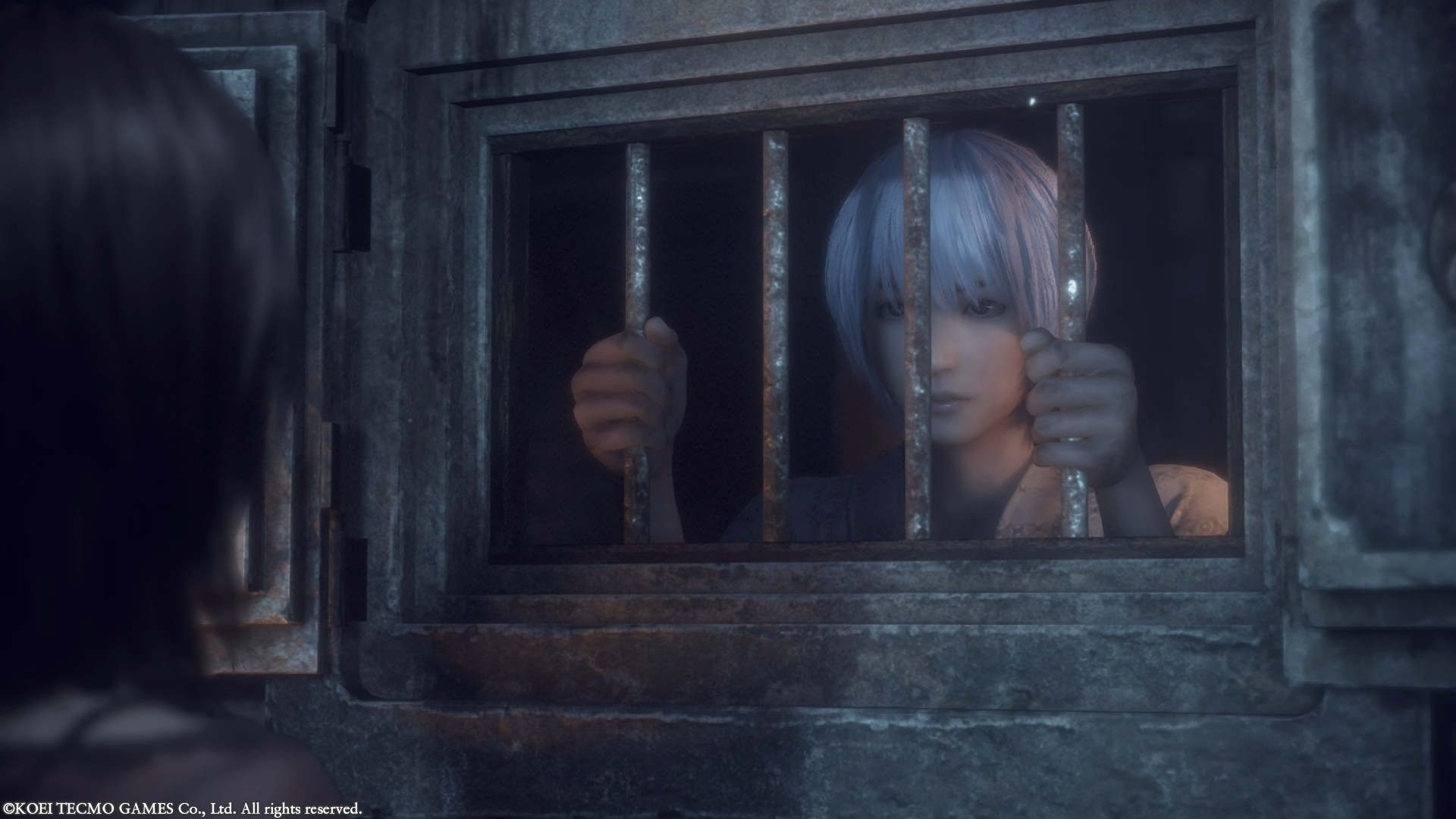 Fatal Frame 2 Crimson Butterfly Remake (55)