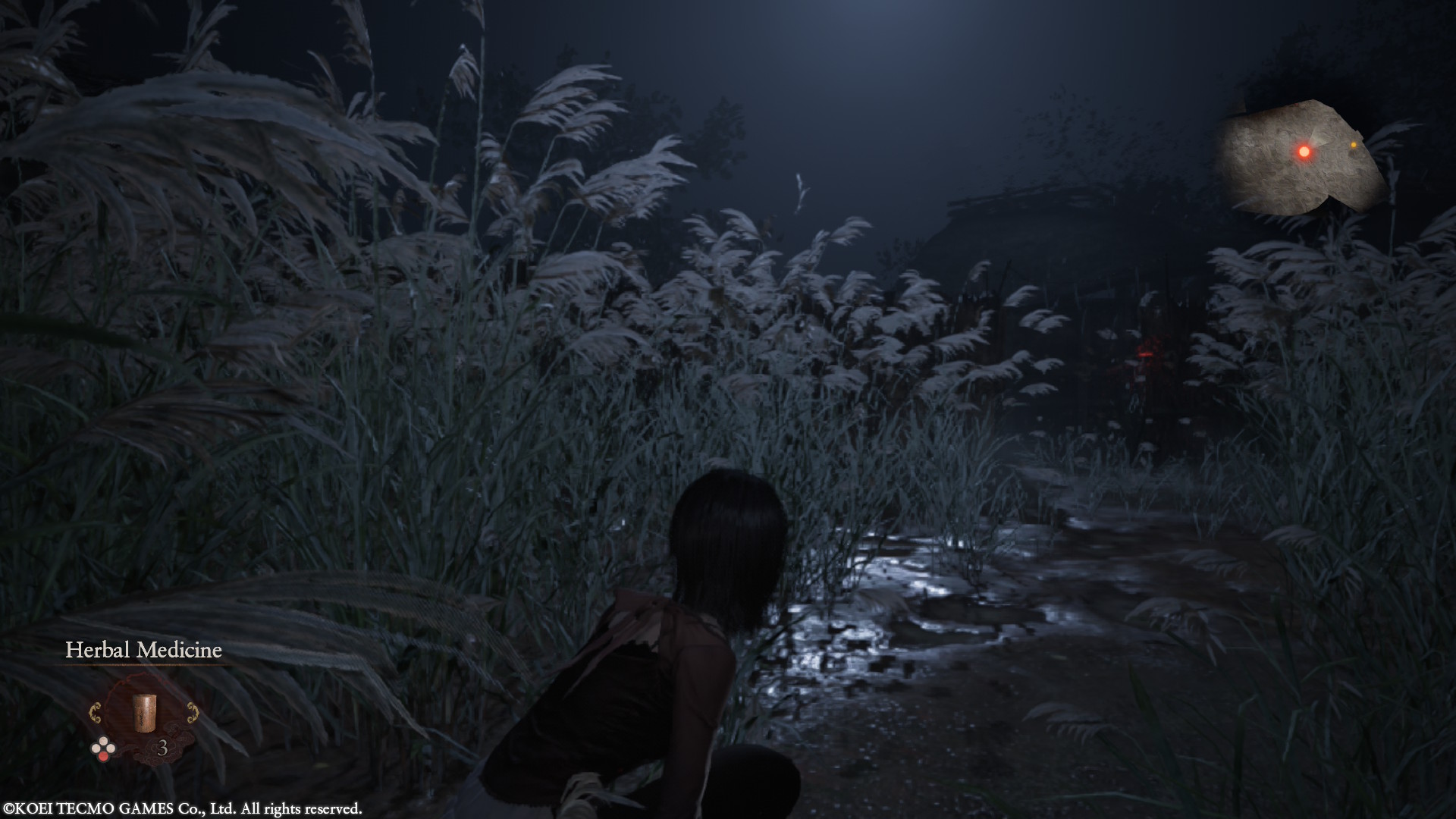 Fatal Frame 2 Crimson Butterfly Remake (64)
