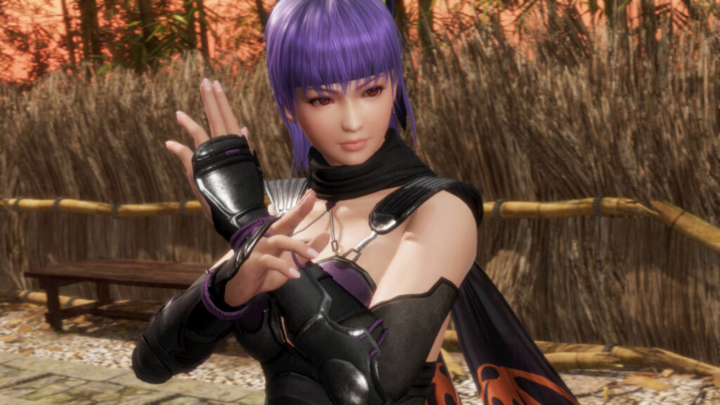 dead or alive 6 cover