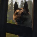 Hubert (33)