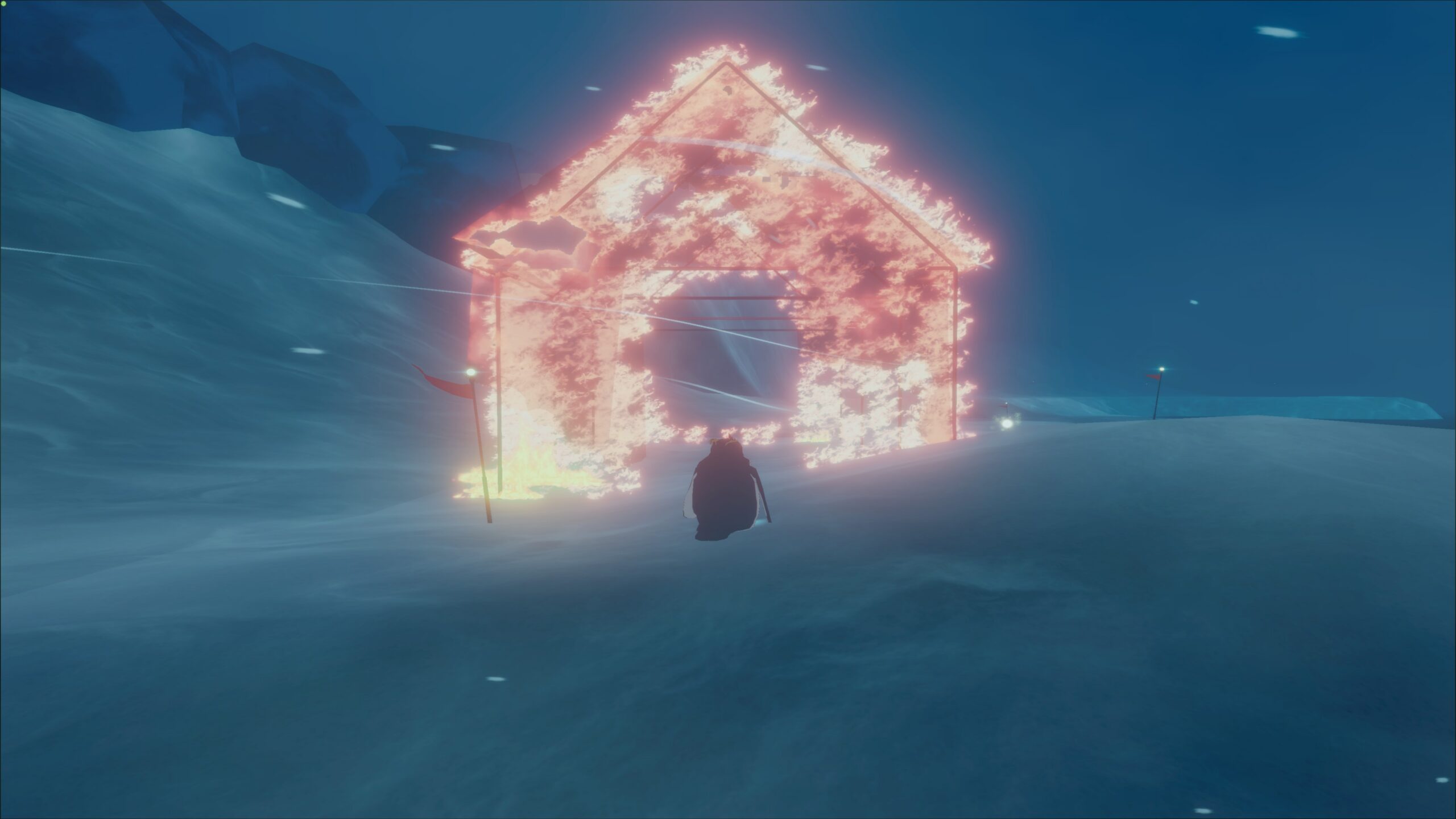 penguin colony (30)
