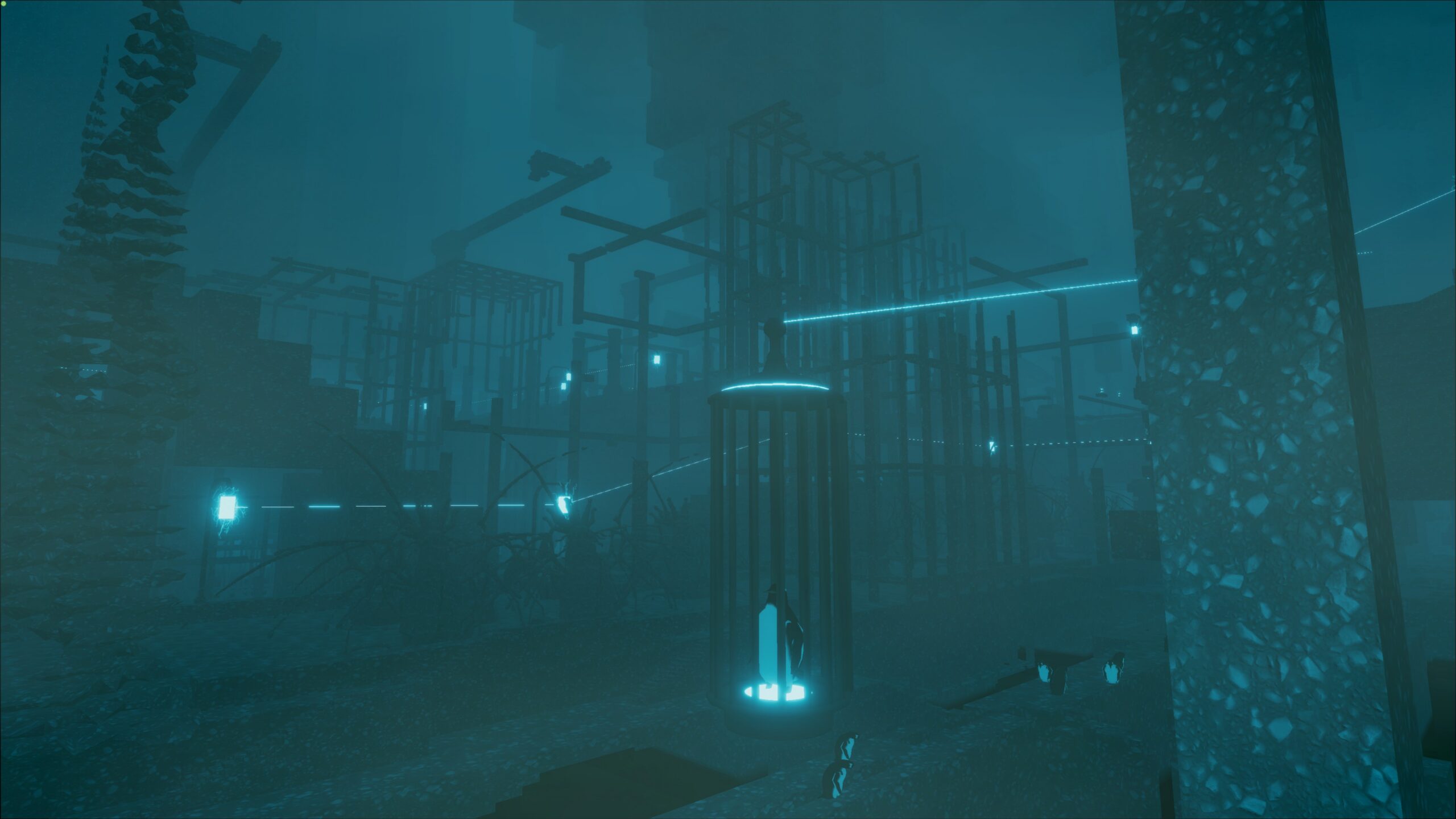 penguin colony (88)